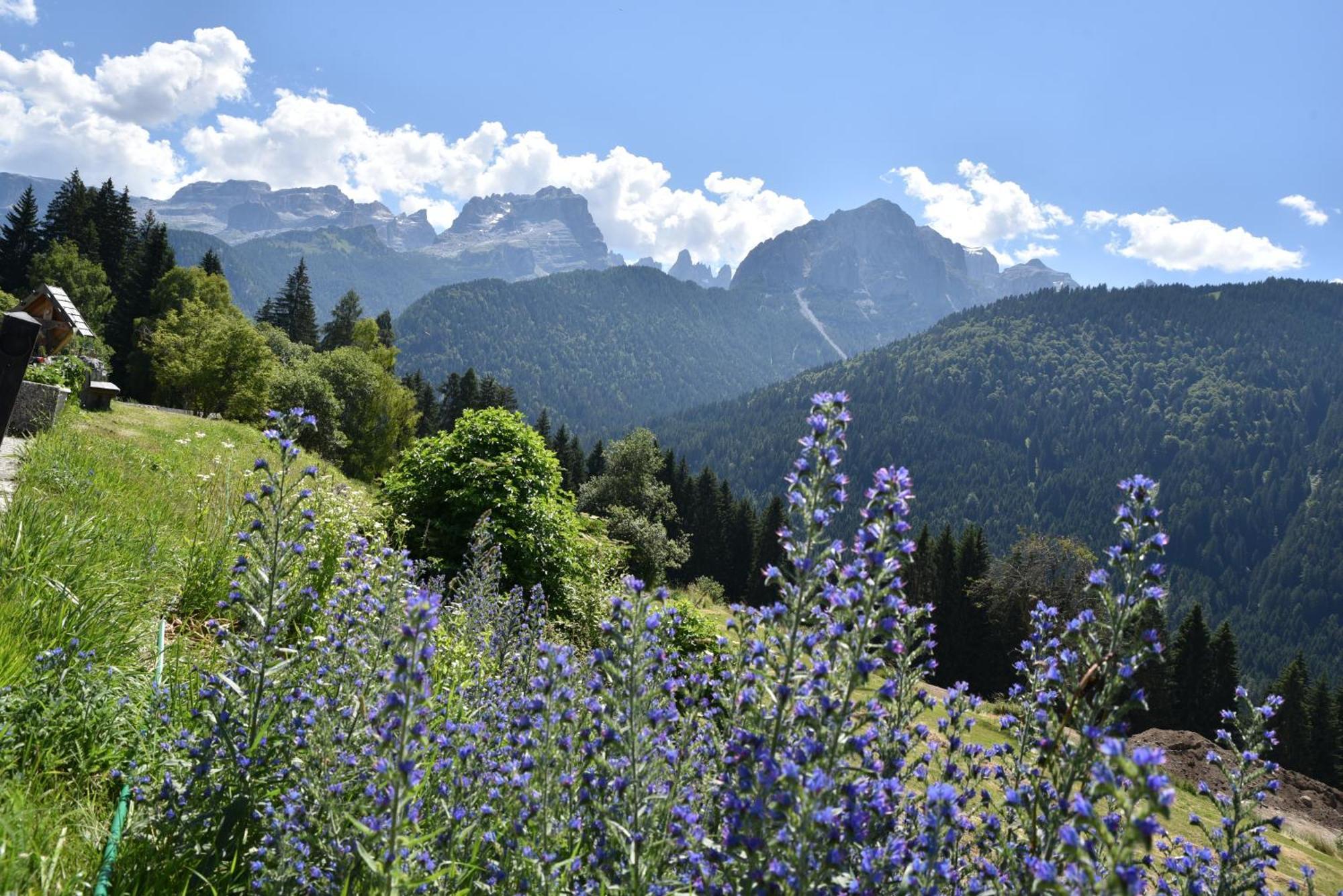 Bed & Breakfast Ristorante Al Frate Da Streza Madonna di Campiglio